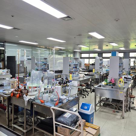 2025년 4월  "Clean Day" 시행